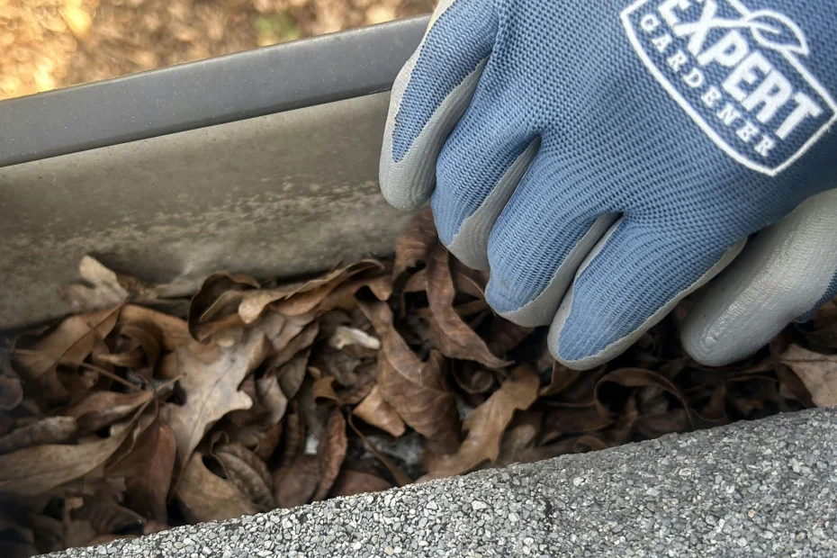 Gutter Cleaning Hellertown